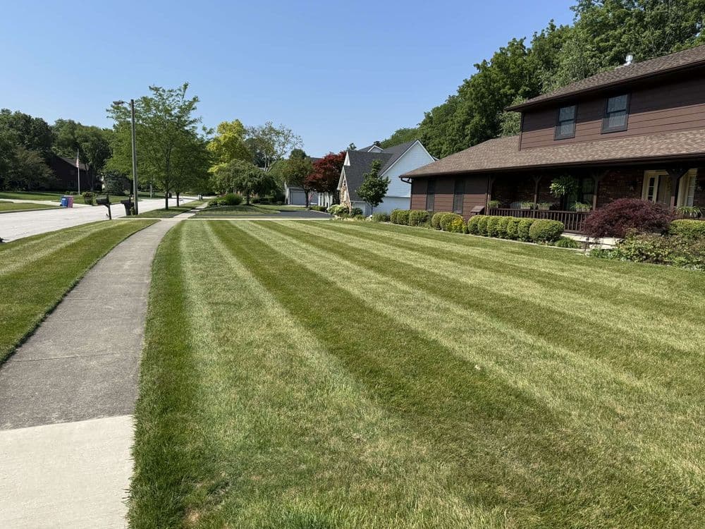Well-maintained lawn with striped grass and tidy landscaping in a suburban neighborhood.