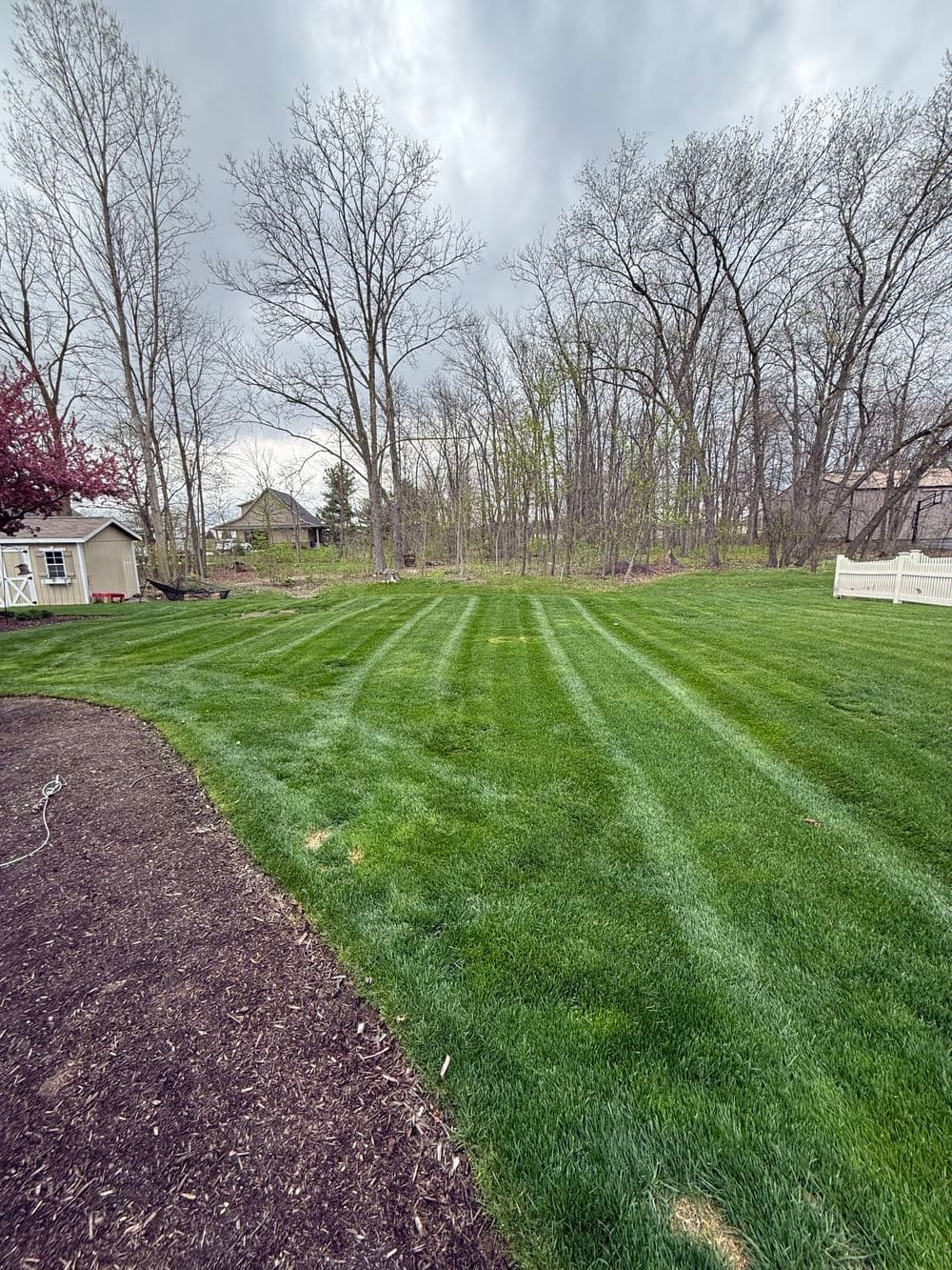 Lush green lawn with striped grass, trees in the background, and a garden shed.