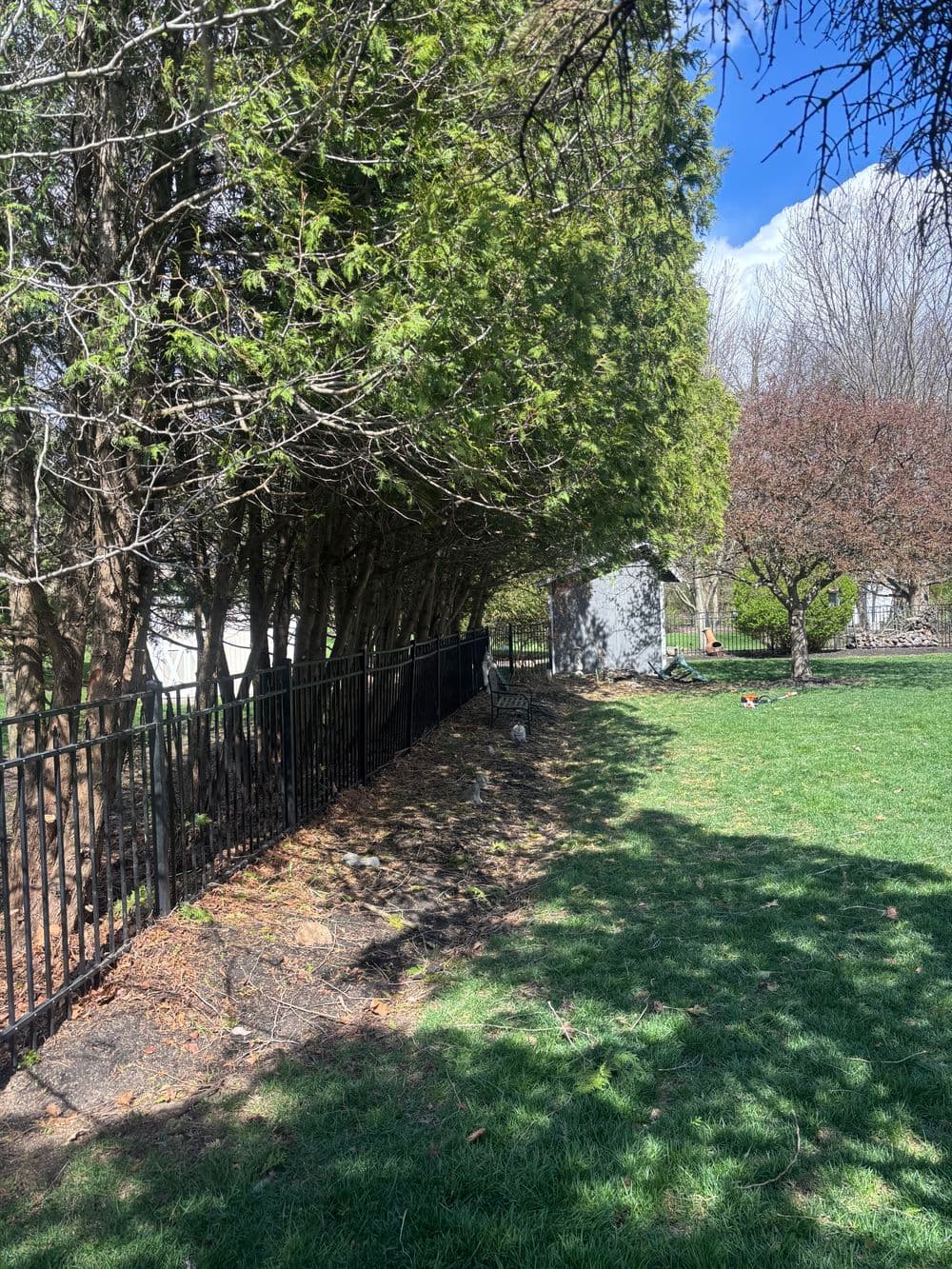 Lush green yard with trees and a black metal fence under a clear blue sky.