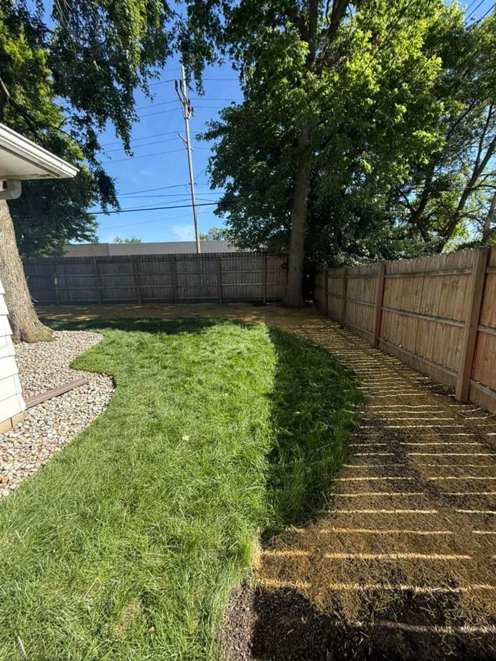 Lush backyard with green grass, tree, and wooden fence under a clear blue sky.