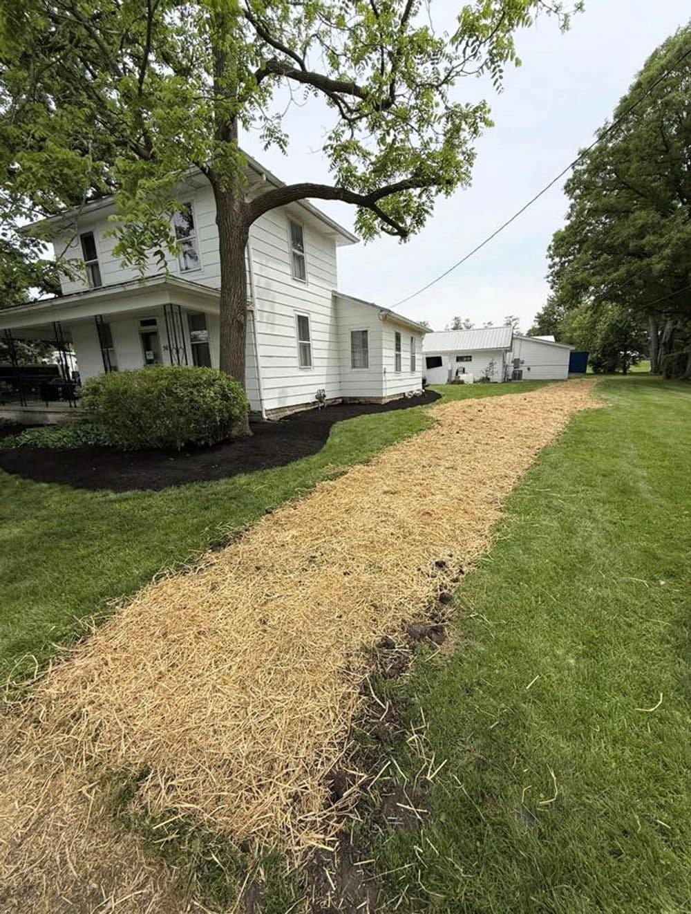 Pathway of straw mulch leading to a white house surrounded by lush green grass.